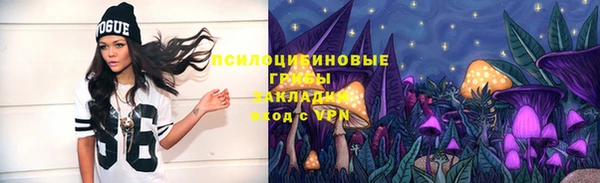 дмт Белокуриха