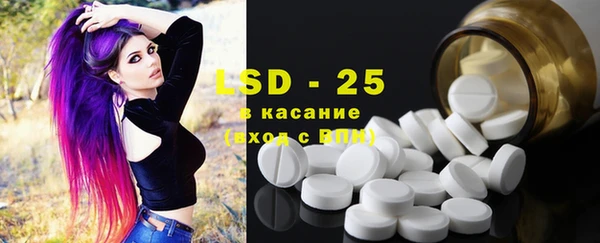 PSILOCYBIN Беломорск
