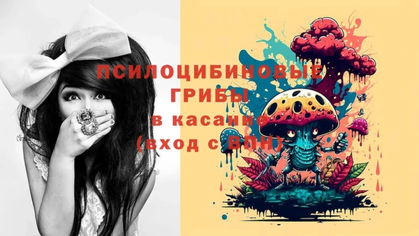 дмт Белокуриха