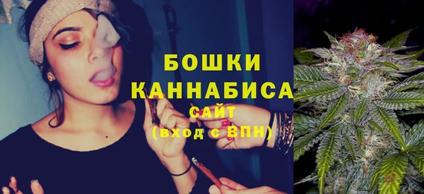 PSILOCYBIN Беломорск