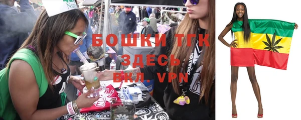 дмт Белокуриха