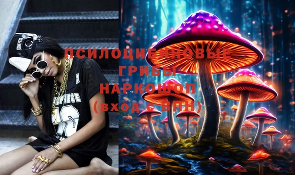 PSILOCYBIN Беломорск