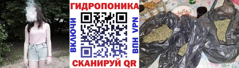 где купить наркоту  Онега  МАРИХУАНА Amnesia 